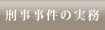 刑事弁護の実務